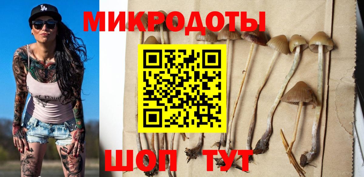 Лабинск  Галлюциногенные грибы прущие грибы  Вход с VPN 